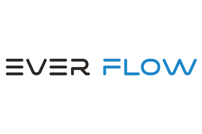 EVER FLOW Telecom Batteries